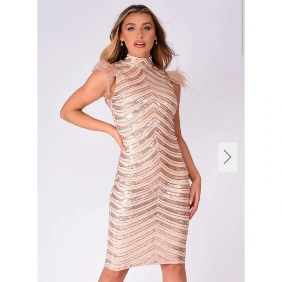 Destiny Vip Rose Gold Luxe Feather Sequin Illusion Midi Pencil Dress